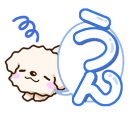 White Toy poodle. sticker #13154297