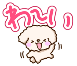 White Toy poodle. sticker #13154298