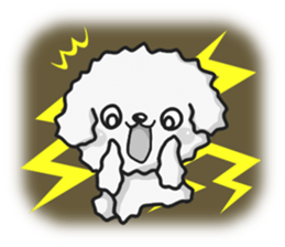 White Toy poodle. sticker #13154300