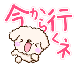 White Toy poodle. sticker #13154302