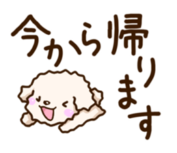 White Toy poodle. sticker #13154303