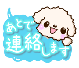 White Toy poodle. sticker #13154305