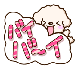 White Toy poodle. sticker #13154308
