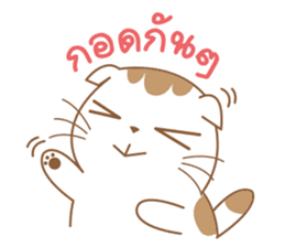 Sa-Rang Cat sticker #13155519