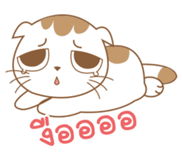 Sa-Rang Cat sticker #13155540