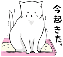 A CAT'S LIFE sticker #13156209