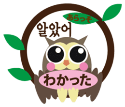 Korean and Japanese that owl speak sticker #13158423