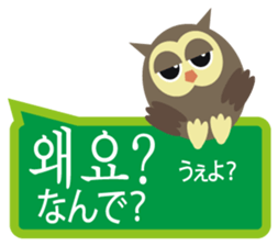 Korean and Japanese that owl speak sticker #13158425