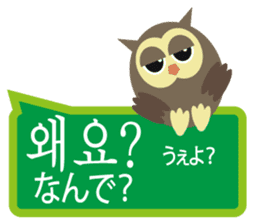 Korean and Japanese that owl speak sticker #13158425