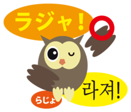 Korean and Japanese that owl speak sticker #13158427