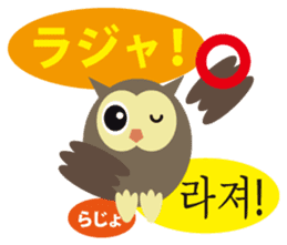 Korean and Japanese that owl speak sticker #13158427