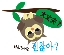 Korean and Japanese that owl speak sticker #13158429