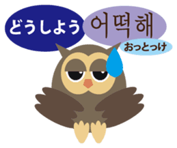 Korean and Japanese that owl speak sticker #13158432