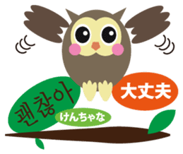 Korean and Japanese that owl speak sticker #13158433