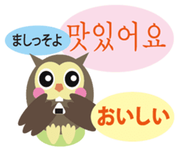 Korean and Japanese that owl speak sticker #13158434