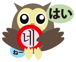 Korean and Japanese that owl speak sticker #13158435