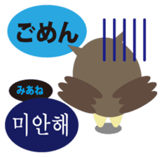 Korean and Japanese that owl speak sticker #13158438