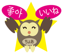 Korean and Japanese that owl speak sticker #13158439