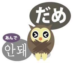 Korean and Japanese that owl speak sticker #13158440