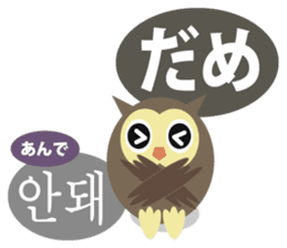Korean and Japanese that owl speak sticker #13158440