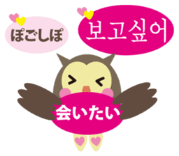 Korean and Japanese that owl speak sticker #13158441