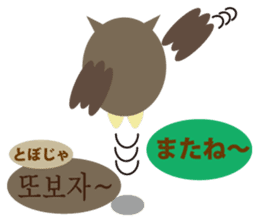 Korean and Japanese that owl speak sticker #13158442