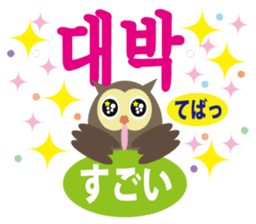 Korean and Japanese that owl speak sticker #13158447