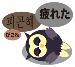 Korean and Japanese that owl speak sticker #13158448