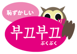 Korean and Japanese that owl speak sticker #13158455