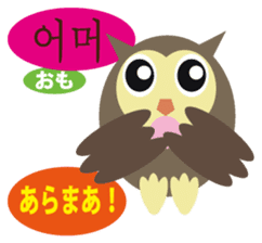 Korean and Japanese that owl speak sticker #13158461