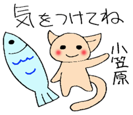 ogasawara's stickers sticker #13158668