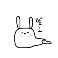 square face rabbits 2