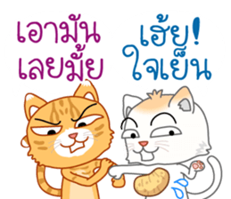 Two cats are talking sticker #13159007