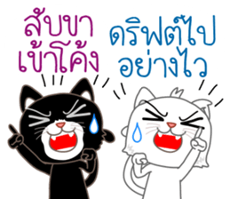 Two cats are talking sticker #13159018