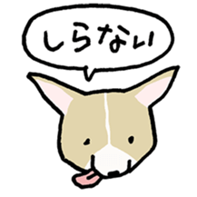 Selfish Corgi sticker #13160386