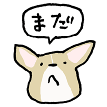 Selfish Corgi sticker #13160396