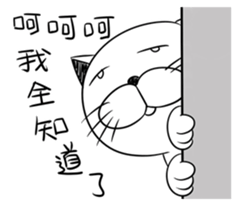 Stupid Fat White Cat 5 sticker #13161370