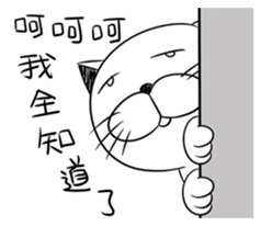 Stupid Fat White Cat 5 sticker #13161370