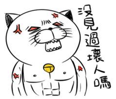 Stupid Fat White Cat 5 sticker #13161372