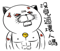 Stupid Fat White Cat 5 sticker #13161372