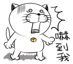 Stupid Fat White Cat 5 sticker #13161383