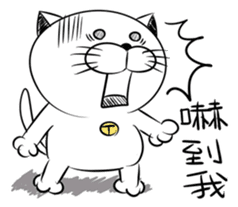 Stupid Fat White Cat 5 sticker #13161383