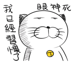 Stupid Fat White Cat 5 sticker #13161388