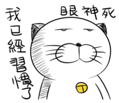 Stupid Fat White Cat 5 sticker #13161388