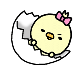 Chick of Naniwa4 sticker #13161918