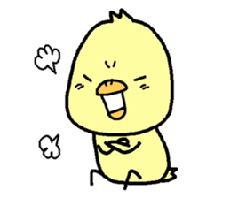 Chick of Naniwa4 sticker #13161951
