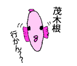 Dolphin of AMAKUSA sticker #13162560