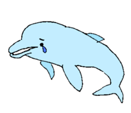 Dolphin of AMAKUSA sticker #13162561