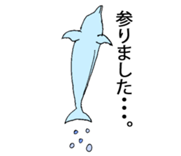 Dolphin of AMAKUSA sticker #13162568