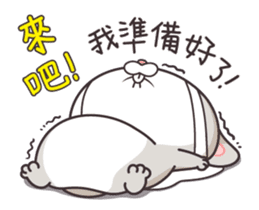 very miss rabbit"3" sticker #13163203